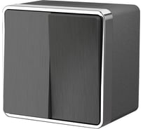 Двухклавишный влагозащищенный выключатель Werkel WL15 03 02 Gallant a041402