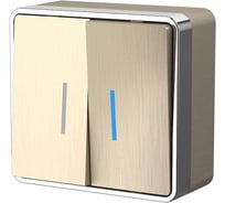 Двухклавишный выключатель с подсветкой Werkel WL15 03 03 Gallant шампань a041423