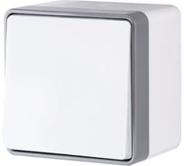 Одноклавишный влагозащищенный выключатель Werkel WL15 01 02 Gallant a036773