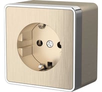 Розетка с заземлением Werkel WL15 02 01 Gallant шампань рифленый a041416