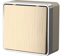 Одноклавишный выключатель Werkel WL15 01 01 Gallant шампань рифленый a041412