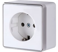 Розетка с заземлением и шторками Werkel WL15-02-02 Gallant белая a036766