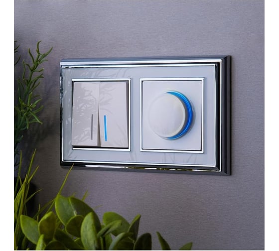 Проходной двухклавишный выключатель Werkel WL01 SW 2G 2W LED с подсветкой a030767