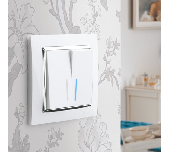 Проходной двухклавишный выключатель Werkel WL01 SW 2G 2W LED с подсветкой a030767
