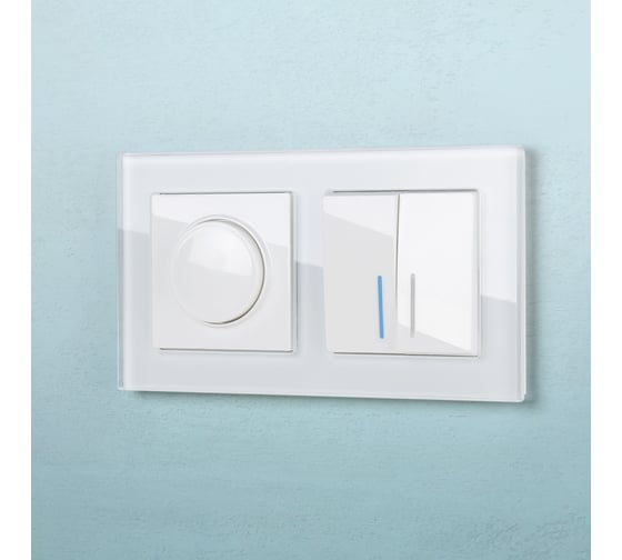 Проходной двухклавишный выключатель Werkel WL01 SW 2G 2W LED с подсветкой a030767