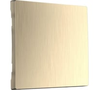 Клавиша для перекрестного выключателя Werkel WL10-SW-1G-C-CP шампань a037016