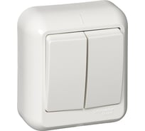 Двухклавишный выключатель Systeme Electric ОП Прима 6А IP20 белый, с монтаж. пластиной опт. упак A56-029M-B