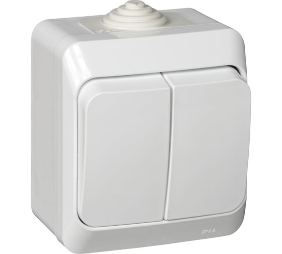 Двухклавишный выключатель Systeme Electric ОП Этюд 10А IP44 белый BA10-042B 1