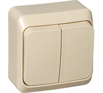 Выключатель 2-клавишный Systeme Electric (Schneider Electric) Этюд, 10 А, IP20, с индикацией, кремовый BA10-006K
