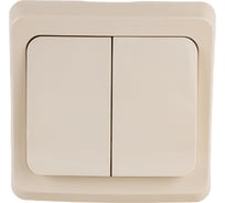 Двухклавишный выключатель Systeme Electric СП Этюд 10А IP20 кремовый BC10-002K