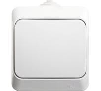1-клавишный переключатель Systeme Electric ОП Этюд 10А IP44 белый BA10-046B