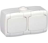 Двухместная розетка Systeme Electric ОП Рондо с защ. крышкой, защ. шторки, с заземлением IP44 белая RA16-227B-BI