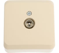 Розетка TV Systeme Electric ОП Этюд кремовая TVA-002K