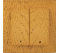 Выключатель для жалюзи Nilson СУ, TOURAN WOOD, дуб 24251069