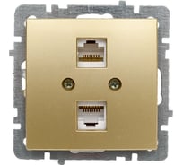 Механизм 2-местной компьютерной розетки Nilson СУ, RJ45 САТ6, TOURAN-ALEGRA-THOR, metallic, золото 24150447