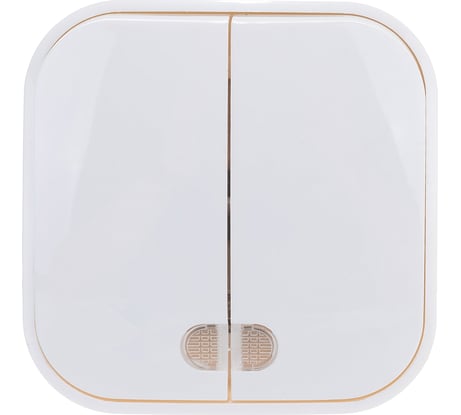 Двухклавишный выключатель с подсветкой IONICH о/у, 10А, 220В, белый еврослот 1414