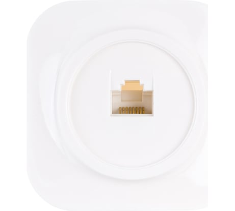 Компьютерная одноместная розетка IONICH о/у, 1А, RJ45, белая еврослот 1422