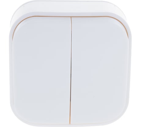 Двухклавишный выключатель IONICH о/у, 10А, 220В, белый еврослот 1413