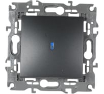 Выключатель с подсветкой ЭРА 14-1102-05 10АХ-250В, IP20, Elegance, антрацит Б0034219