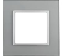 Рамка ЭРА 14-5101-03 на 1 пост, стекло, Elegance, алюминий+алюминий Б0034472