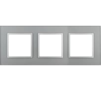 Рамка ЭРА 14-5103-03 на 3 поста, стекло, Elegance, алюминий+алюминий Б0034508