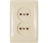 2-местная розетка скрытой установки ООО МПО Электротехника слоновая кость 2826