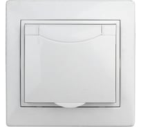 Розетка Intro Plano 120901 с заземлением, 2PE, Schuko, с крышкой, со шторками, 16А, 250В, IP20, скрытой установки Б0048033