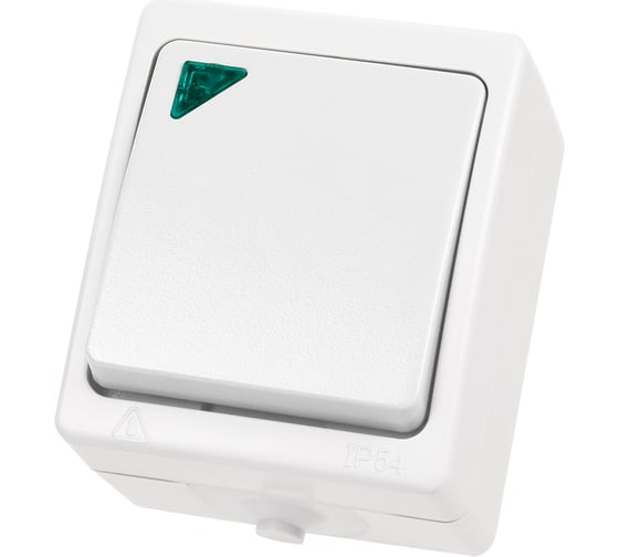 1 клавишный выключатель TDM ELECTRIC с подсветкой открытой установки IP54 10А белый "Вуокса" SQ1803-1004