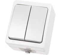 Выключатель белый 2-клавишный открытой установки TDM ELECTRIC IP54 10А, серия "Вуокса" SQ1803-1002