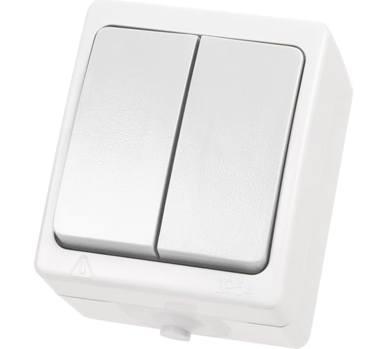 2 клавишный выключатель TDM открытой установки IP54 10А белый "Вуокса" SQ1803-1002