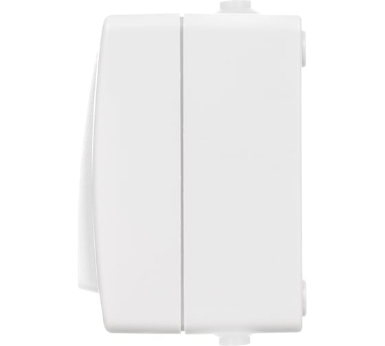 2 клавишный выключатель TDM открытой установки IP54 10А белый "Вуокса" SQ1803-1002