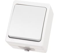 Выключатель белый 1-клавишный открытой установки TDM ELECTRIC IP54 10А, серия "Вуокса" SQ1803-1001