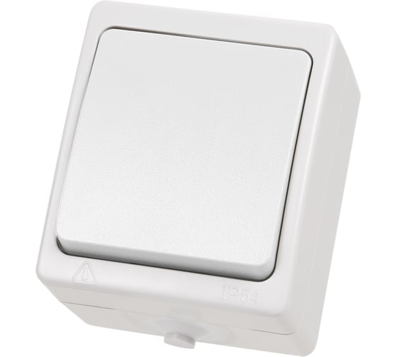 1 клавишный выключатель TDM открытой установки IP54 10А белый "Вуокса" SQ1803-1001