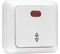 Проходной одноклавишный выключатель с индикатором EKF Рим 10А белый ENV10-125-10