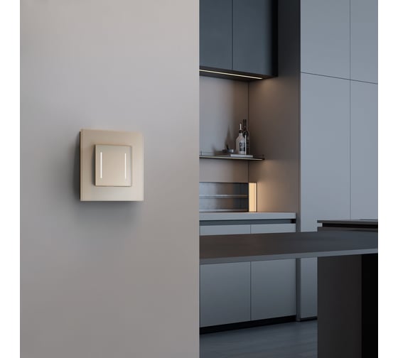Рамка WERKEL на 1 пост senso (шампань, стекло soft-touch) a064576