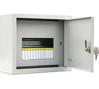 Металлический корпус DIRECT ELECTRIC щрн 12, 250x300x135 мм DE16202033