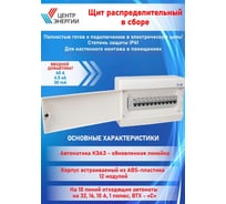 Щит распределительный ООО "Центр Энергии" НКУ ЩР40А-4,5кА CNN-12 (22С40, 1С32, 7x1С16, 2x1С10) 00-00007718