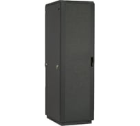 Напольный серверный шкаф ЦМО, перфорированная дверь 2 шт, черный ШТК-М-42.6.10-44АА-9005