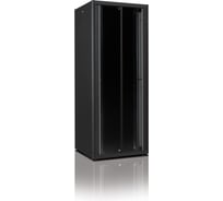 Серверный напольный шкаф LANDE DYNAmic Basic Server 19" LN-DS42U8010-BL-551-F