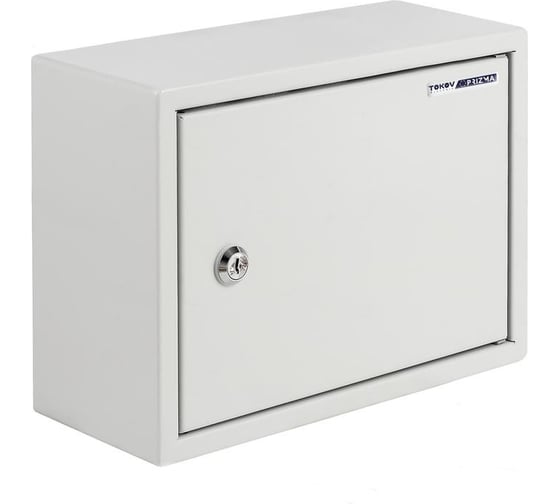 Корпус навесной TOKOV ELECTRIC ЩРн-12 IP31 220x300x120 металл PRIZMA TKE-PZ-MRB-12-IP31