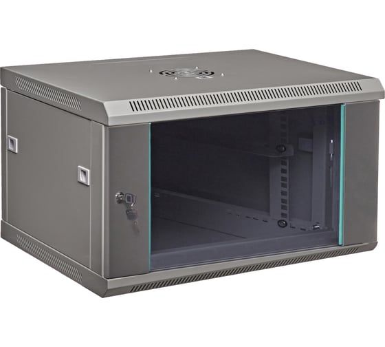 Серверный настенный шкаф W&T 6U 600х540 19 дюймов серый C066054GWTWOF 1
