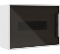 Щиток DKC 12 модулей, настенный, белый, с тонированной дверцей, с 2 шин. PEN на 8 6 отв. 1 ШТ F12W1WDDIY