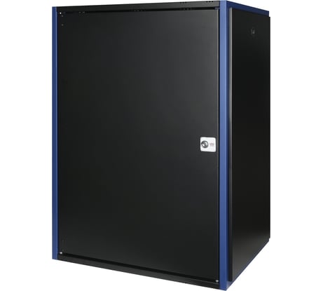 Настенный шкаф DATAREX 19 дюймов 18u 600x450 металлическая дверь, черный DR-610411