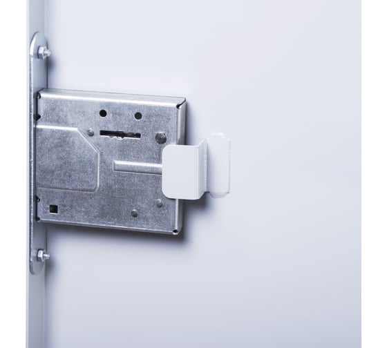 Настенный шкаф REXANT 19" антивандальный распашной 14u 04-2254