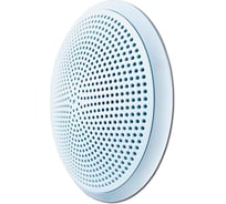 Акустический модуль Элтех-Сервис С-10Л исп. 2 (4 Ом) 10Вт/4 Ом, потолочный, с контролем 00000000132