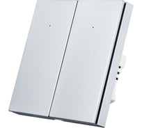 Умный выключатель Roximo двухкнопочный платиновый SWBTN01-2P