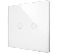 Двухкнопочная панель управления Rubetek RL-3122