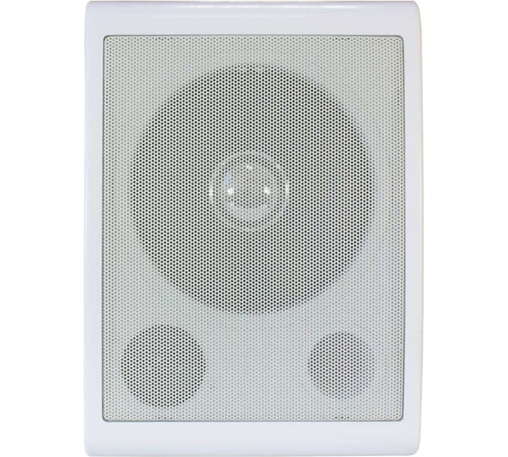 Настенный громкоговоритель Tantos TSo-SW6a 00-00025704