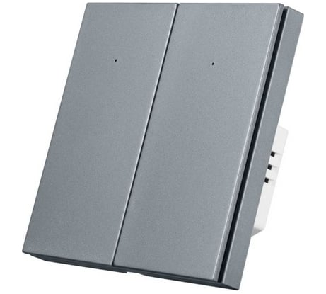 Двухкнопочный умный выключатель Zigbee Roximo серый, SZBTN01-2S