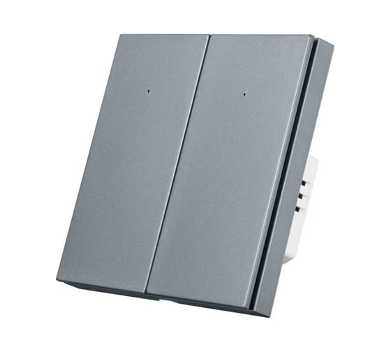 Двухкнопочный умный выключатель Zigbee Roximo серый, SZBTN01-2S 1